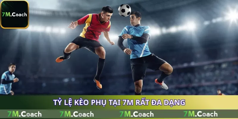 Tỷ lệ kèo phụ tại 7M rất đa dạng Tỷ lệ kèo phụ tại 7M rất đa dạng