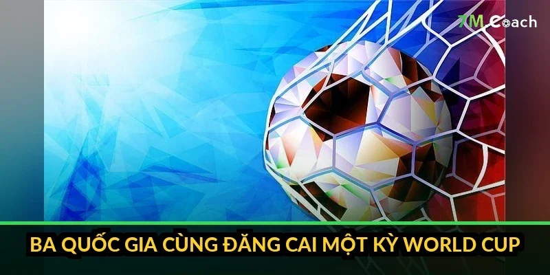 Bản đồ 16 thành phố chủ nhà World Cup 2026