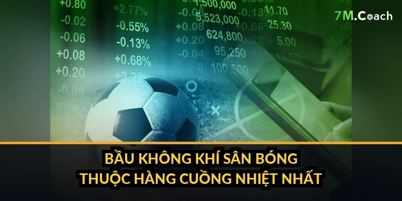 Bức tường vàng của Borussia Dortmund trên khán đài