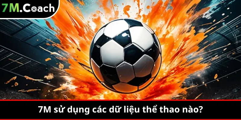 7M sử dụng các dữ liệu thể thao nào?