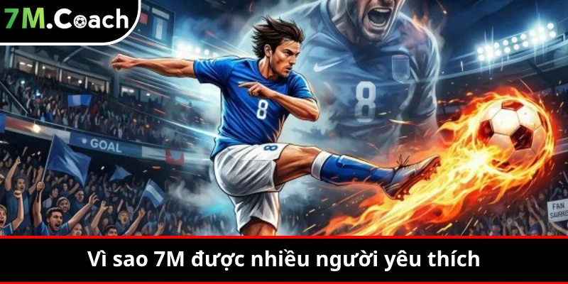 Vì sao 7M được nhiều người yêu thích